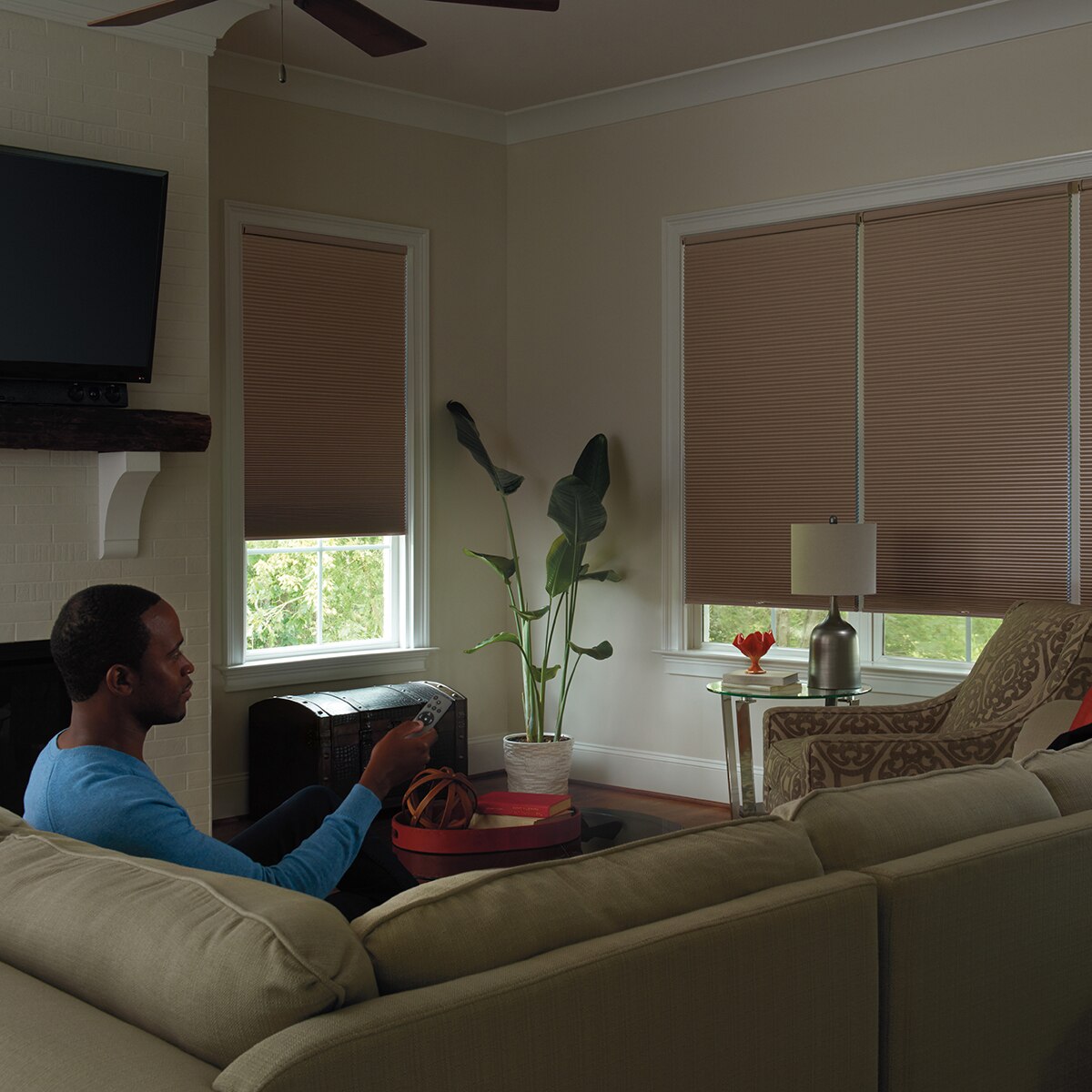 Levolor: 9/16 Inch Blackout Cellular Shades